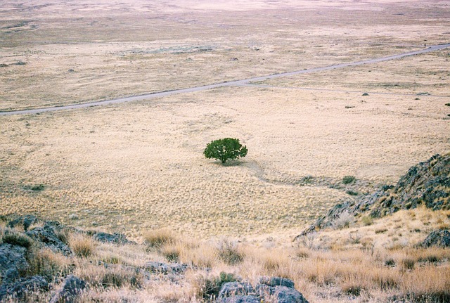 Drought plagues majority of Northeast as dry, windy weather raises fire risk